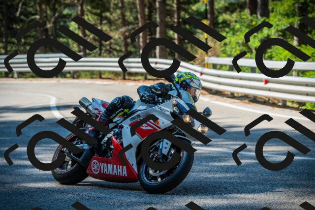 202508091013-DSC03224_c1_