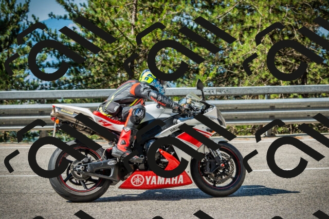 202508091013-DSC03225_c1_