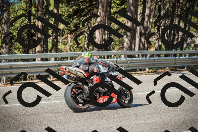 202508091013-DSC03226_c1_