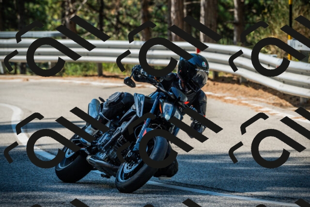 202508091014-DSC03230_c1_