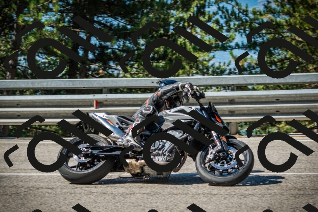 202508091014-DSC03231_c1_