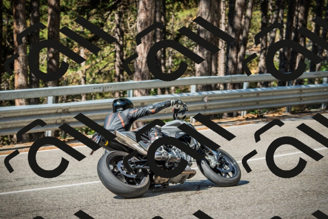 202508091014-DSC03232_c1_