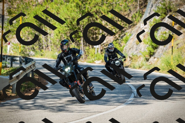 202508091015-DSC03235_c1_