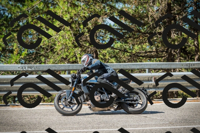 202508091016-DSC03238_c1_