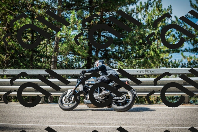 202508091016-DSC03239_c1_