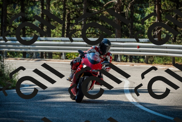 202508091016-DSC03242_c1_