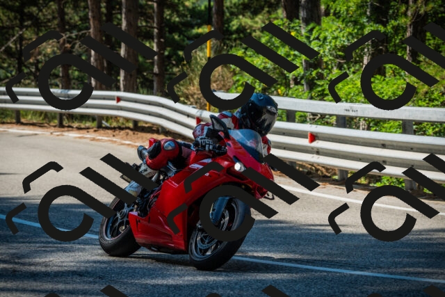 202508091016-DSC03243_c1_