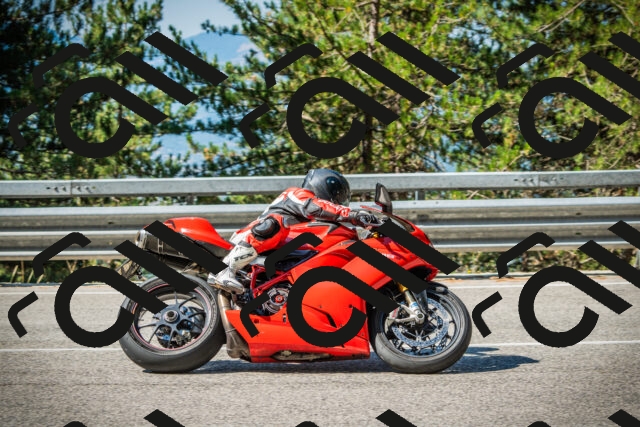 202508091016-DSC03244_c1_