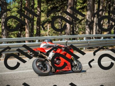 202508091016-DSC03245_c1_