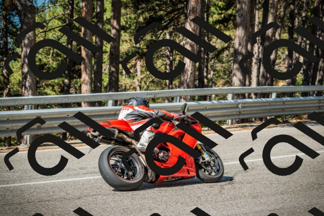 202508091016-DSC03245_c1_