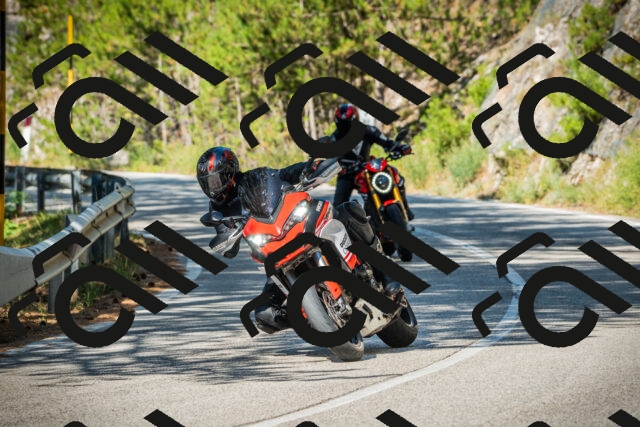 202508091017-DSC03248_c1_