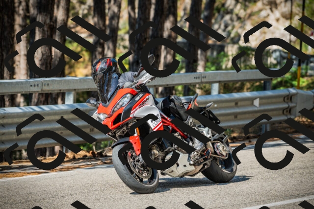 202508091017-DSC03249_c1_