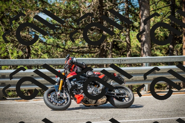 202508091017-DSC03251_c1_