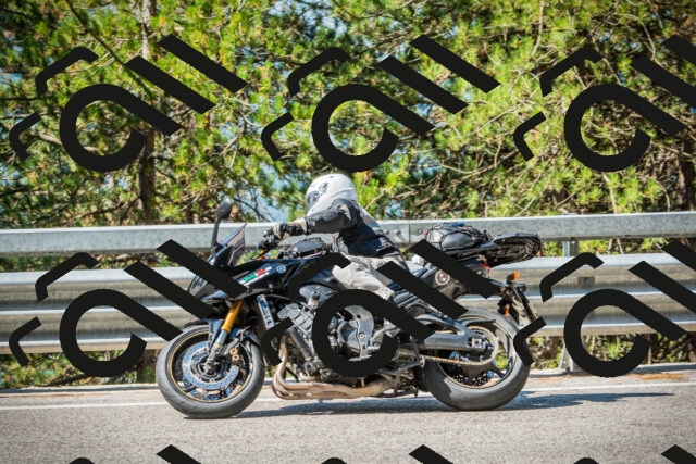 202508091019-DSC03257_c1_