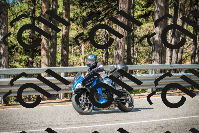 202508091019-DSC03258_c1_