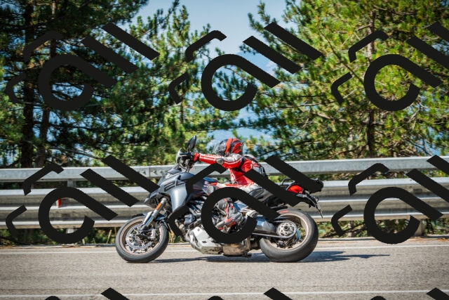 202508091019-DSC03260_c1_