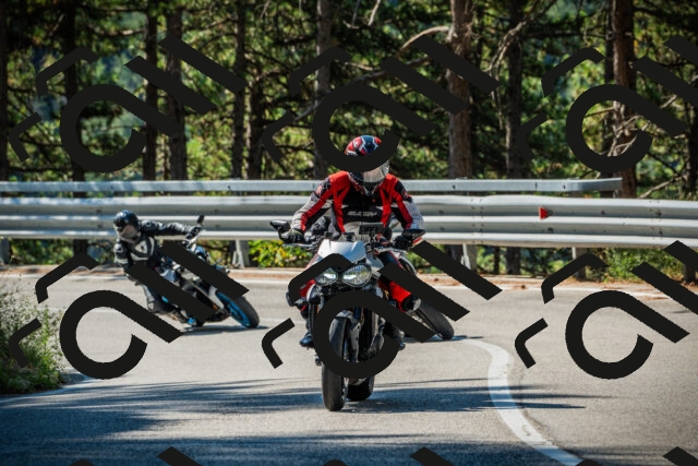 202508091019-DSC03265_c1_