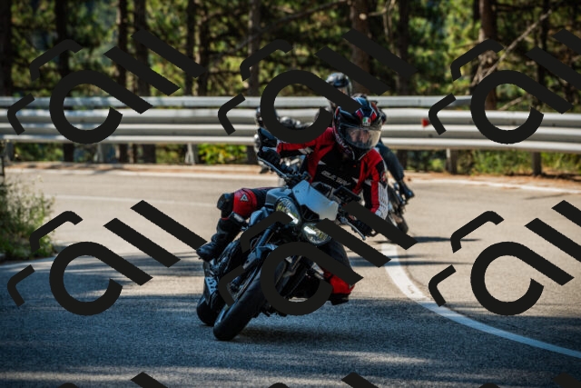 202508091019-DSC03266_c1_