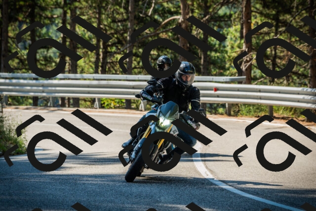 202508091019-DSC03267_c1_