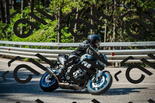 202508091019-DSC03269_c1_