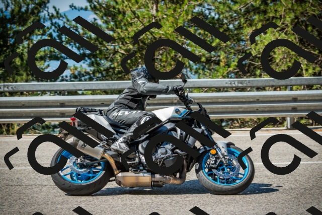 202508091019-DSC03270_c1_