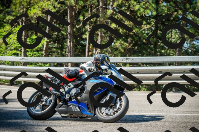 202508091019-DSC03272_c1_