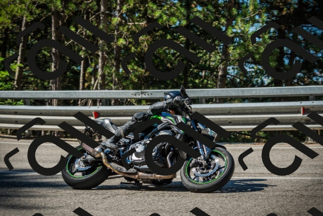 202508091019-DSC03274_c1_