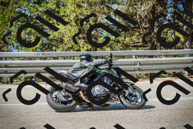 202508091019-DSC03275_c1_