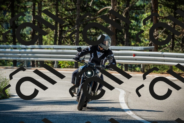 202508091023-DSC03290_c1_