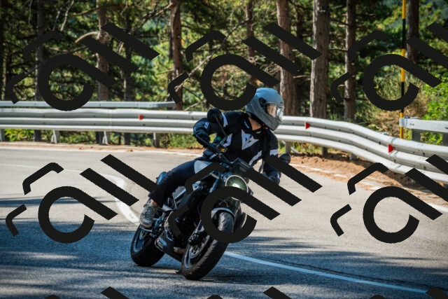 202508091023-DSC03291_c1_