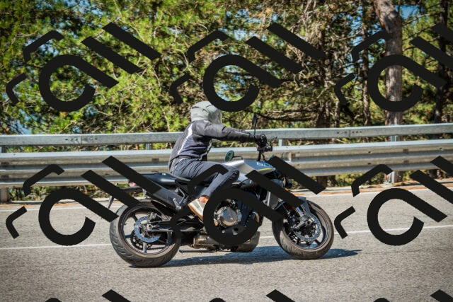 202508091023-DSC03293_c1_