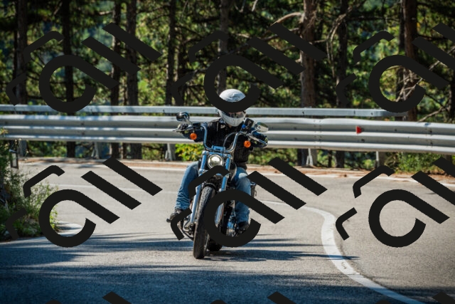 202508091023-DSC03297_c1_