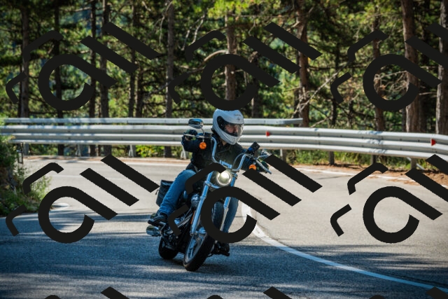 202508091023-DSC03298_c1_