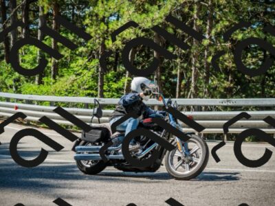 202508091023-DSC03299_c1_