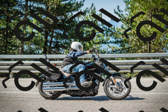 202508091023-DSC03300_c1_