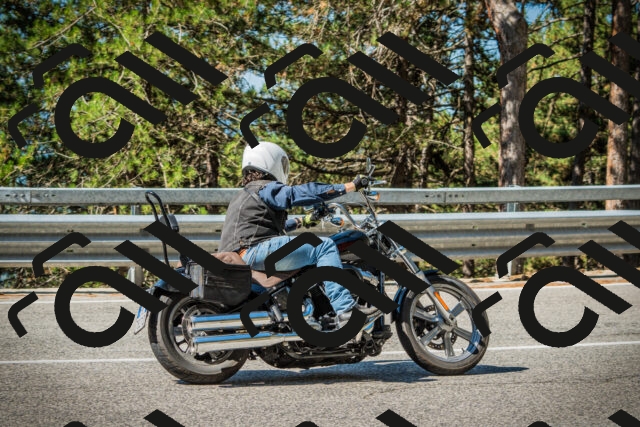 202508091023-DSC03301_c1_