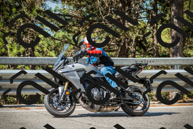 202508091024-DSC03304_c1_