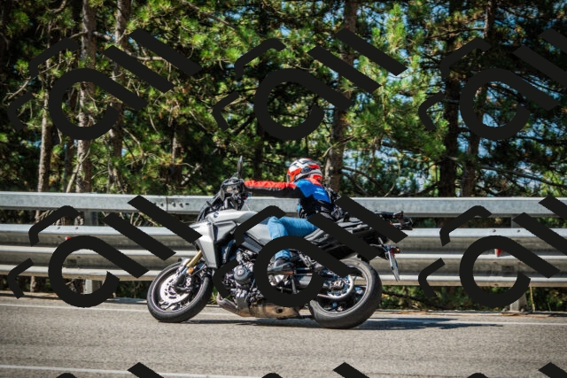 202508091024-DSC03305_c1_