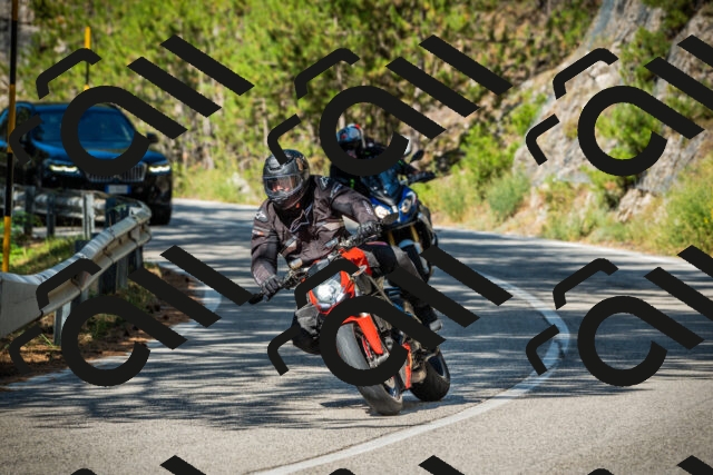 202508091026-DSC03313_c1_