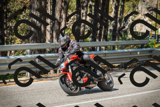 202508091026-DSC03314_c1_