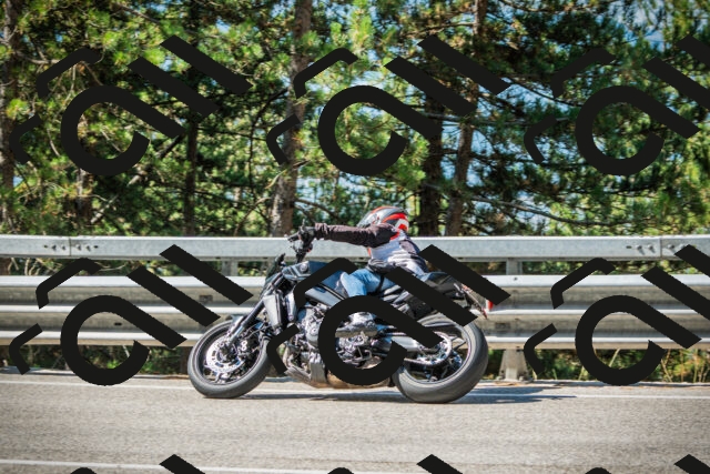 202508091026-DSC03318_c1_