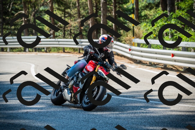 202508091026-DSC03320_c1_