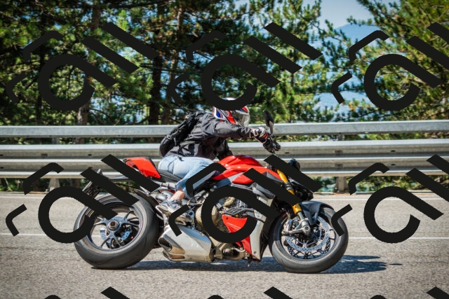 202508091026-DSC03321_c1_