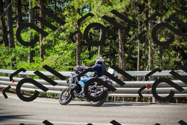 202508091027-DSC03327_c1_