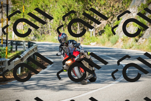 202508091027-DSC03329_c1_