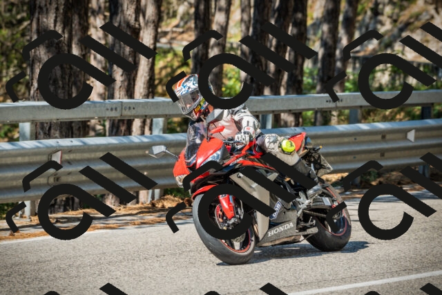 202508091027-DSC03330_c1_