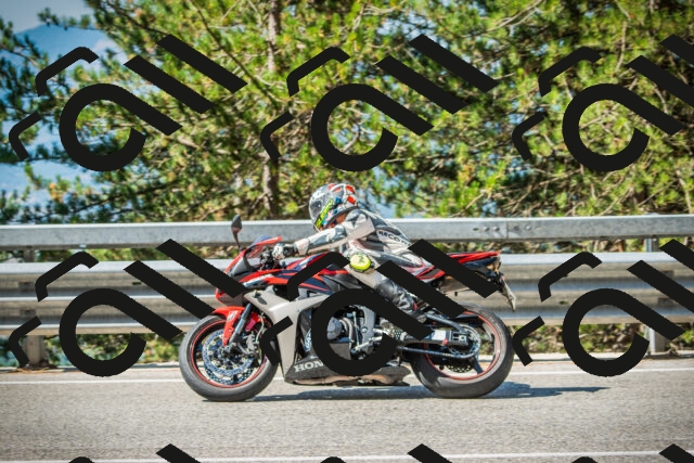 202508091027-DSC03331_c1_