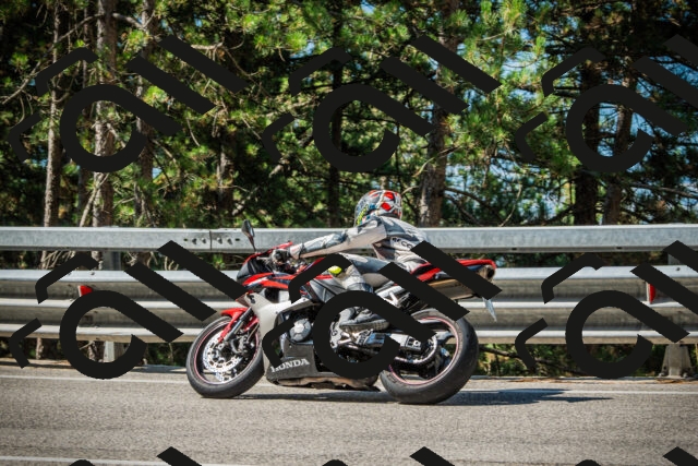 202508091027-DSC03332_c1_