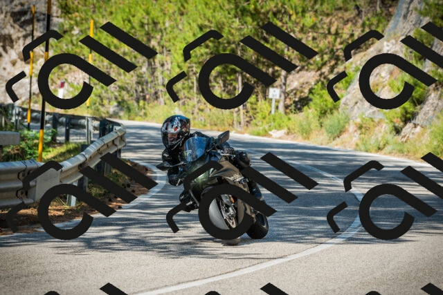 202508091027-DSC03333_c1_