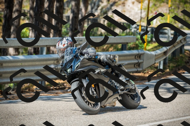 202508091027-DSC03334_c1_